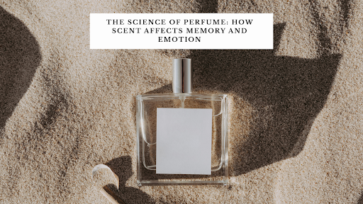 The Science of Perfume: How Scent Affects Memory and Emotion